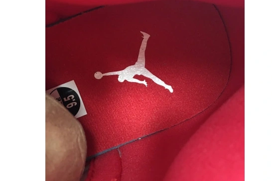 12 Retro Jordan 130690-107 (2019) 130690-107 Fiba 0514